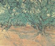 Olive Trees (nn04), Vincent Van Gogh